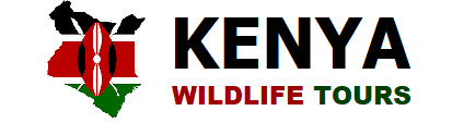 Kenya Wildlife Tours Logo