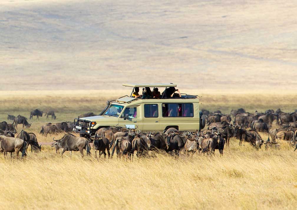 7 days best of Kenya and Tanzania wildlife safari