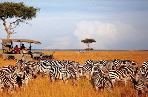 Maasai Mara national reserve.