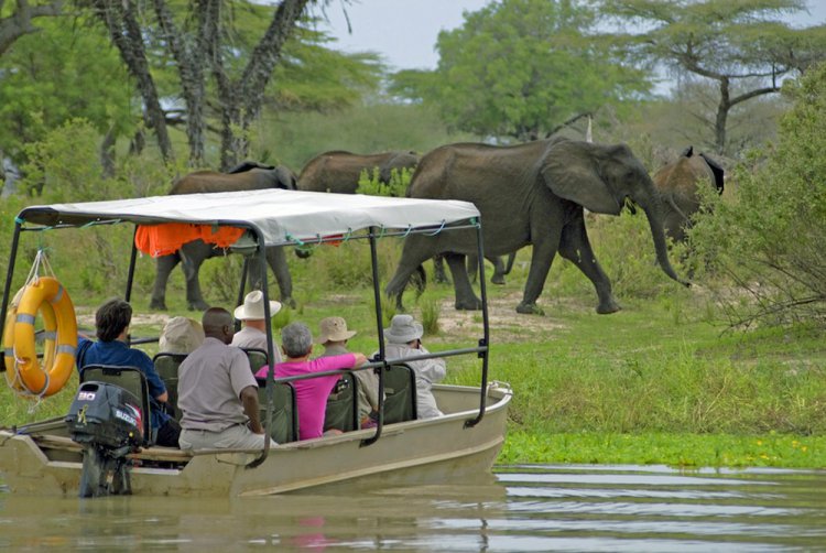 4 days Selous safari (boat, game drive and walking safari)