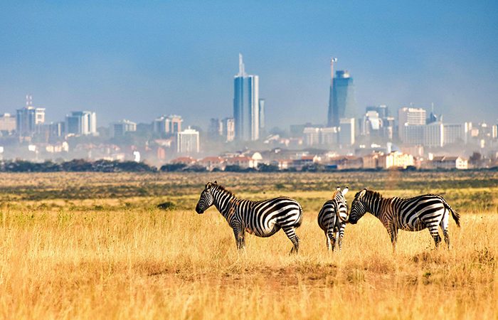 Nairobi Kenya's Capital Top Tourist Attractions 