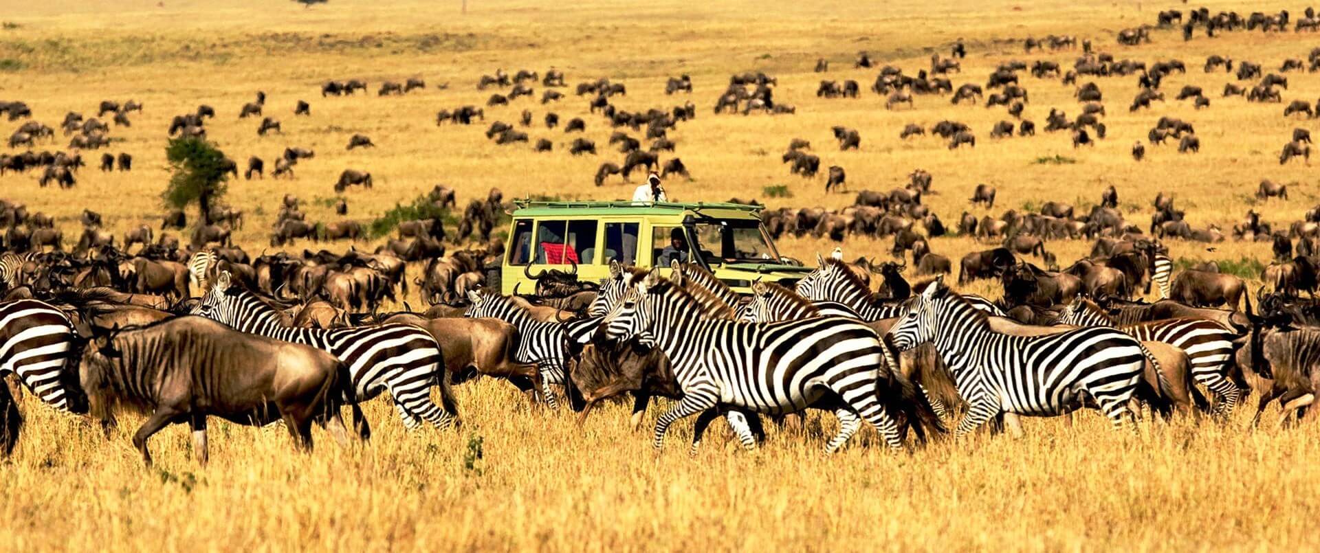 4 days Serengeti and Ngorongoro crater safari
