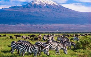 5 days Kenya adventure safari