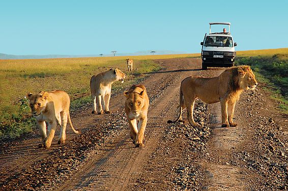  4 days Tsavo East, Tsavo West & Amboseli safari