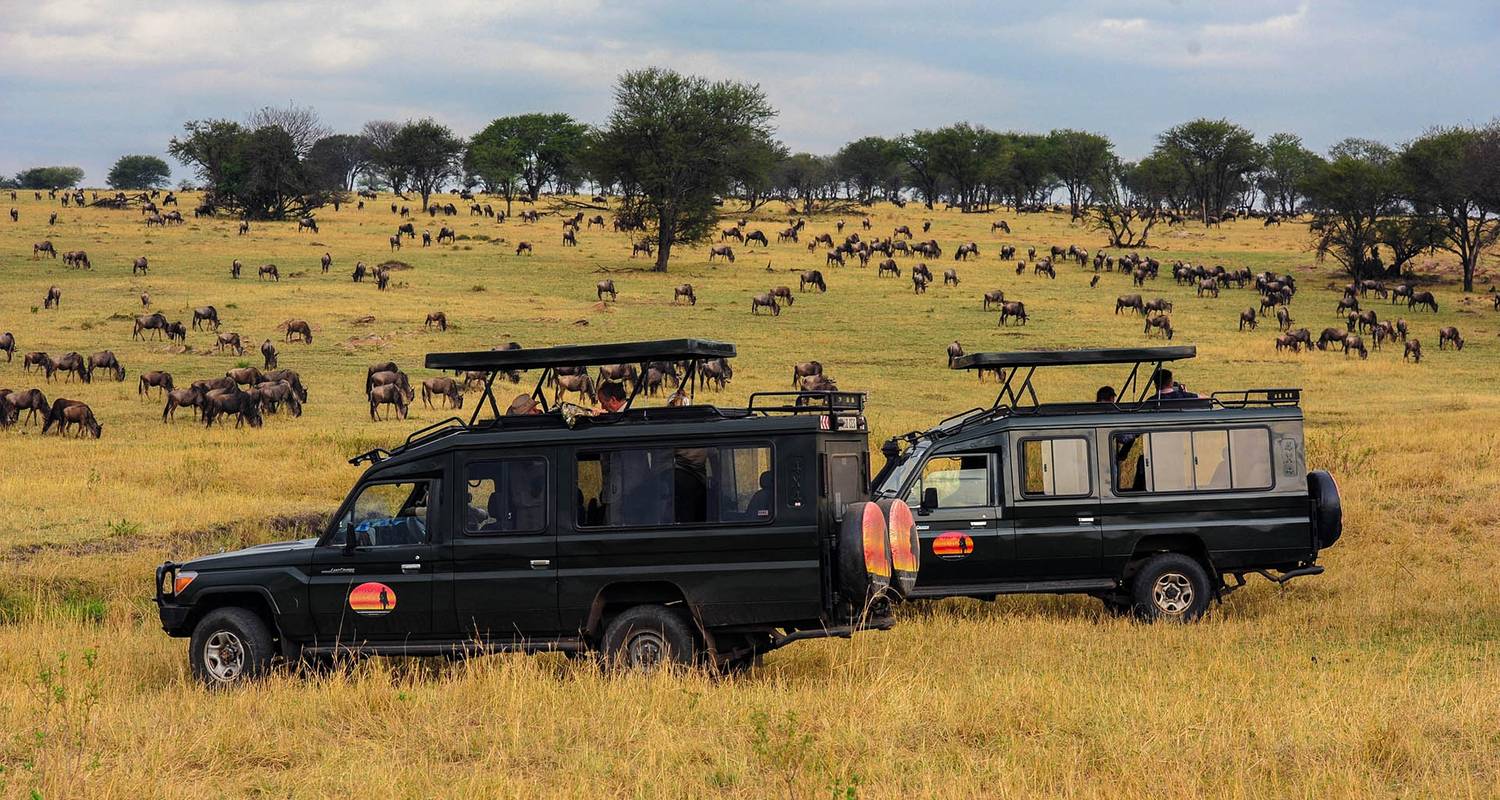 4-Days Serengeti, Ngorongoro & Tarangire safari