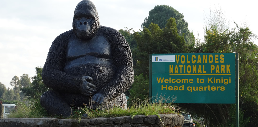 12 days best of Rwanda primates, wildlife safari, Volcano Hike, & Cultural tour