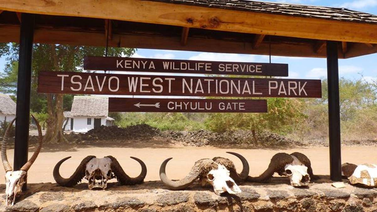 4 days Tsavo East and Tsavo west safari