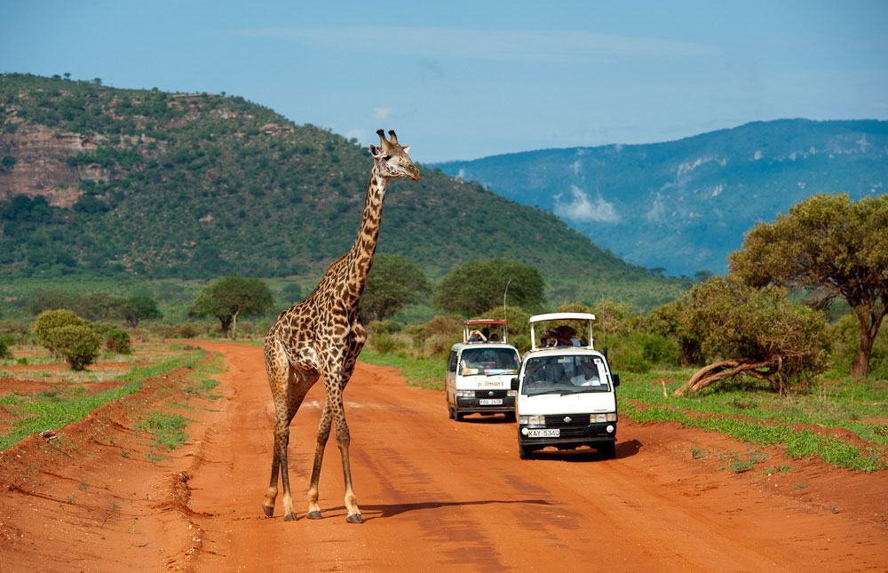3 days Tsavo luxury Safari  