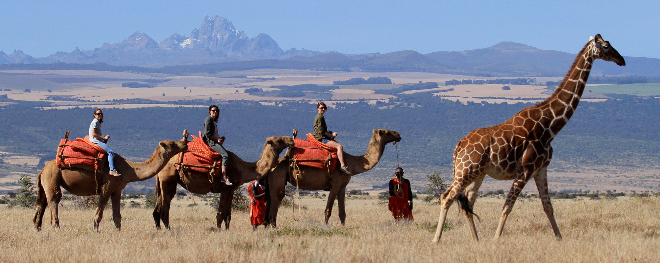 Camel Trekking Safari in Samburu National Reserve 