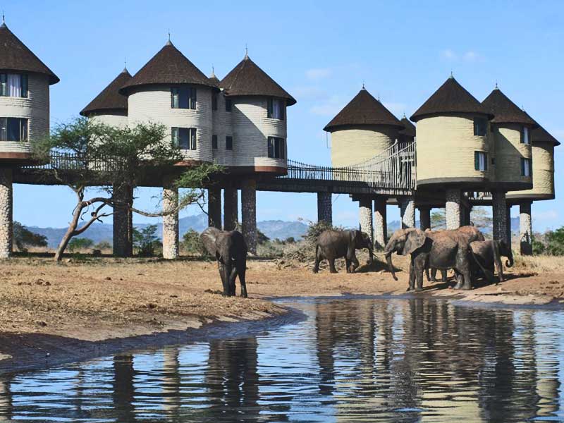 Attractions in Tsavo West National Park