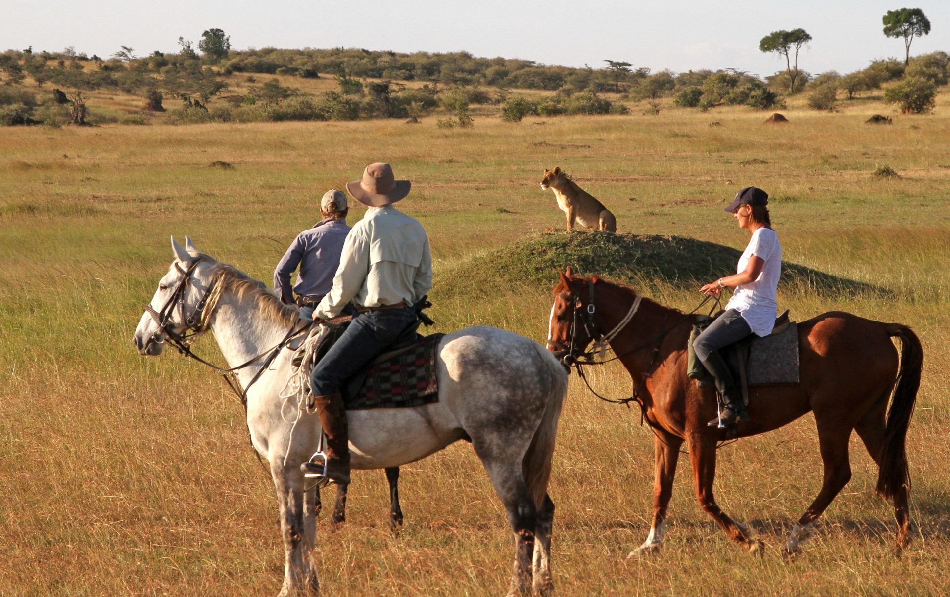 Horse Riding Safari In Kenya