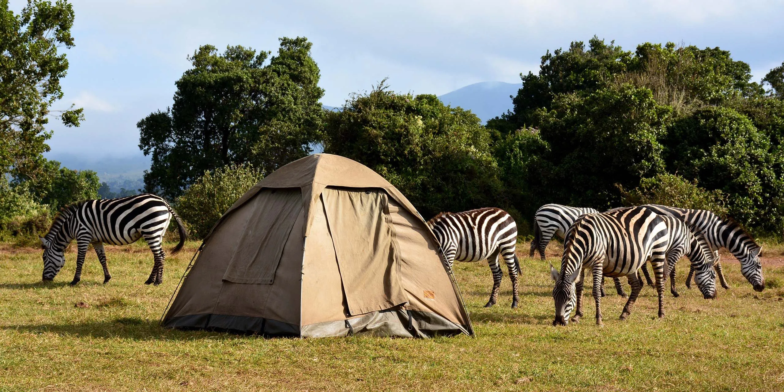 Why Tanzania is the perfect choice for a Family Safari