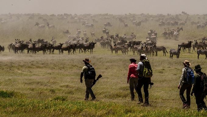 Walking safari in Tanzania