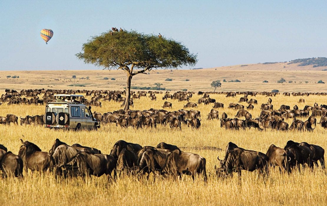 Top Christmas safari destinations in Kenya