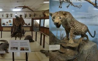 What Are The popular Museums Found In Kisumu