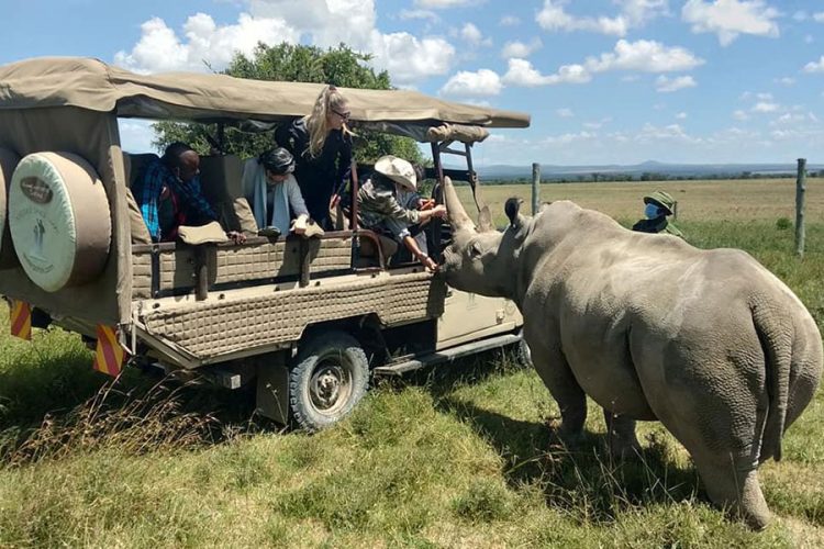 Where To Go On A Self Drive Safari In Kenya